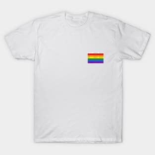 definitely not a hidden pride flag T-Shirt